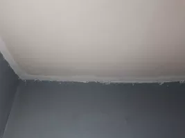 06.08.2021